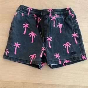 Beau Hudson shorts